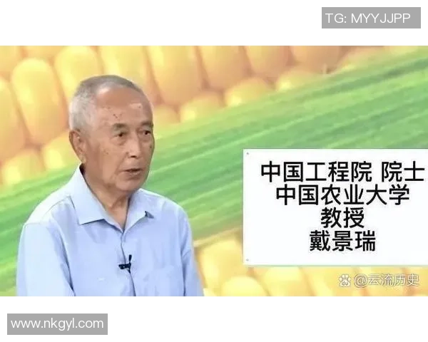 中国足球球星是否按规定缴纳税款引发广泛关注和讨论 中国足球球星是否按规定缴纳税款引发广泛关注和讨论